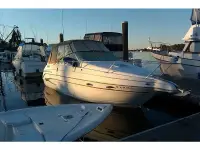 Glastron GS279 