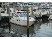Sea Ray Sundancer 290 