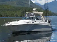 Sea Ray Sundancer 260