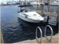 Sea Ray Cuddy Cabin 