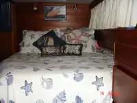 Seahorse Marine Trawler