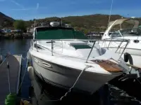 Sea Ray Sundancer 300 