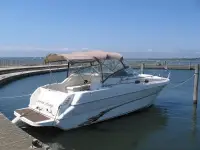 Sea Ray Sundancer 