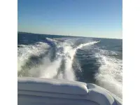 Baja 38 Special 