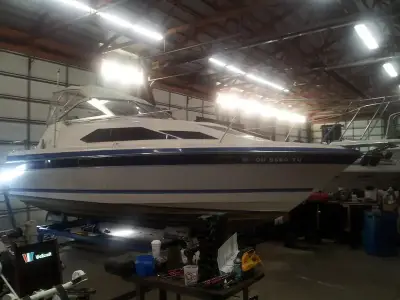 Bayliner ciera sunbridge 2550 