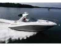 Sea Ray Sundancer 310 Sundancer 