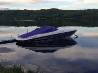 Baja Boss 302 