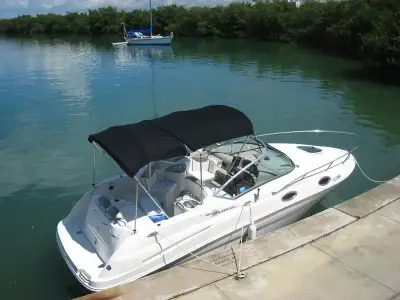Sea Ray Sundancer