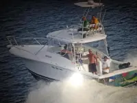Luhrs 29 open 