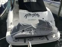 Sea Ray Sundancer 
