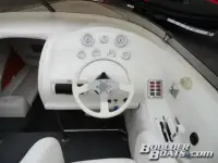 Genesis 251