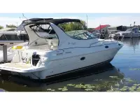 Cruisers 3075 