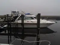 Sea Ray Express Cruiser 
