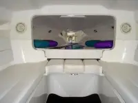 Sonic offshore performance 31 ss 