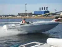 Checkmate Convincor 253 