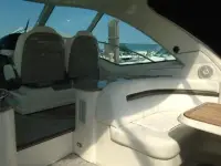 Sea Ray Sundancer 480 Sundancer 