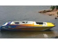 Advantage Sport Cat 