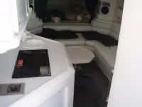 Fountain sport cruiser 