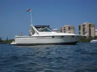 Tiara 31 Open 