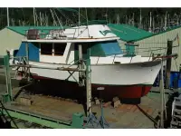 34 Europa 34 