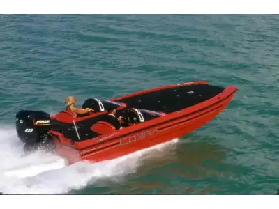 Cobra 2100 cobra Bass boat 
