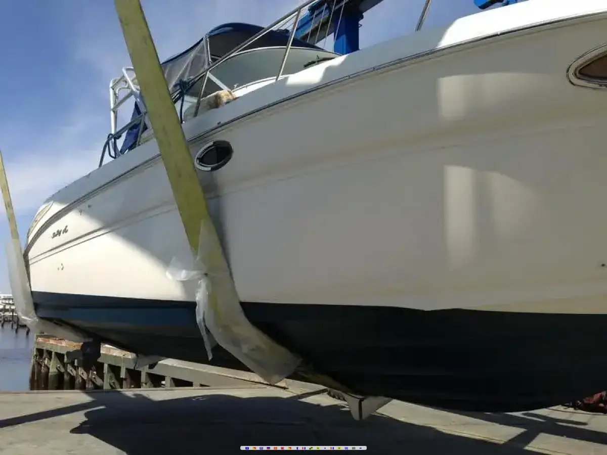 Sea Ray 290 Amberjack Sea Ray 290 Amberjack
