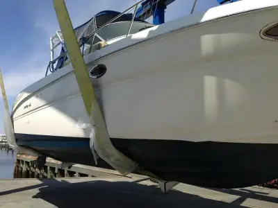 Sea Ray 290 Amberjack 