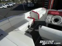 Cheetah 24 Fastcat Deck Boat 