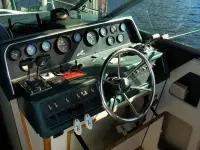 Sea Ray Weekender 300 Weekender 