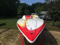 Sunsation Dominator
