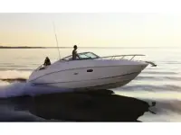Sea Ray Sundancer 260 