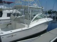Albemarle 310 Express 
