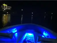 Cobra 210 viper 