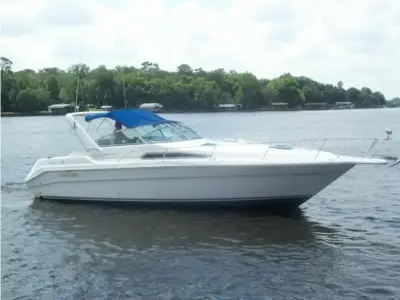 Sea Ray 310 Express 