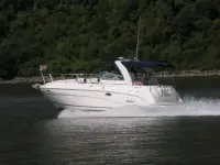 Rinker Fiesta Vee 312 