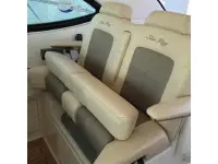 Sea Ray Sundancer