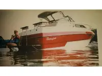 Sea Sprite 225 Cuddy Cabin Cruiser 