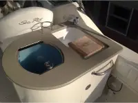 Sea Ray Amberjack 270