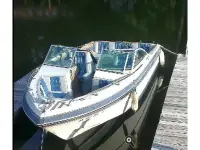 Cobalt cruiser 