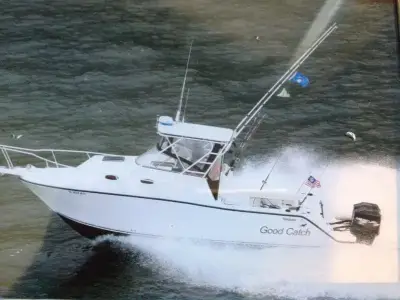 Mako 293 Walkaround 