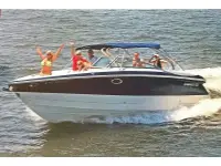 Cobalt 282 