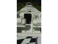 Sunsation Dominator