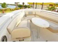 Carolina Skiff Sea Chaser Hybrid Fish and Cruise 