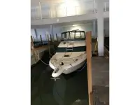 Sea Ray 440 Express Bridge 