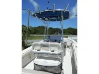 Carolina Skiff Sea Chaser Hybrid Fish and Cruise