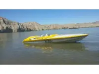 Hallett Vector