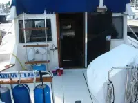 Chris Craft 315 Commander