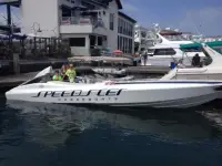 Speedster Powerboats 3200 SS