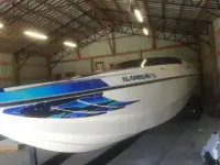 Liberator 30 Cat
