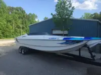 Liberator 30 Cat